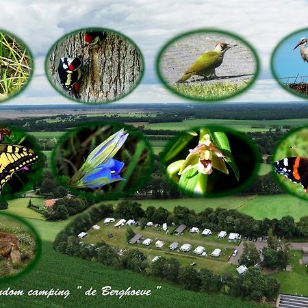 Safaritent De Berghoeve Ruinen Esterno foto