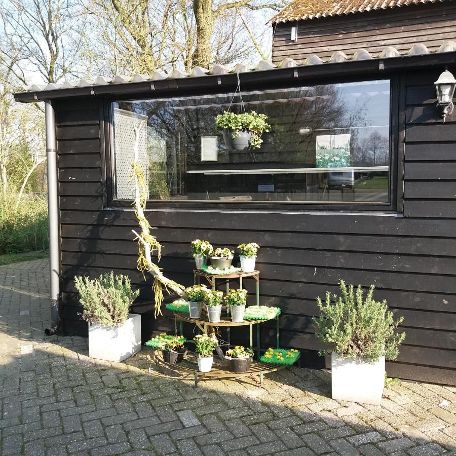 Safaritent De Berghoeve Ruinen Esterno foto